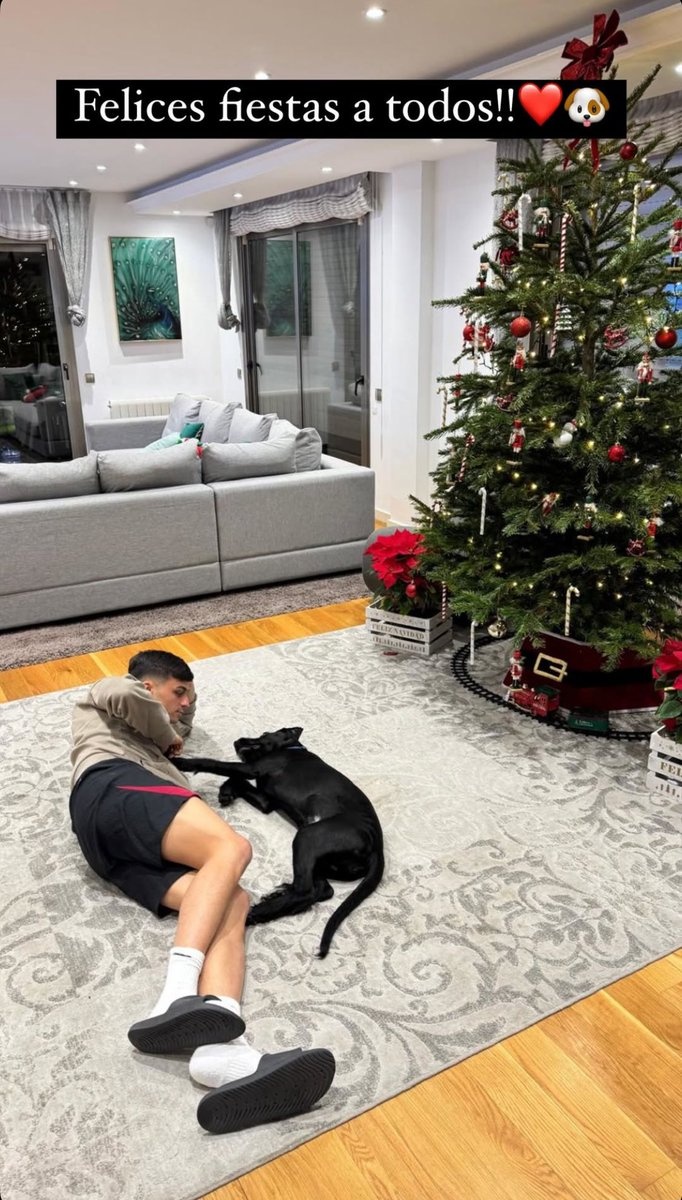 別人曬女友你曬狗，佩德里社媒曬照與愛犬共度平安夜??</p>
                    </div>

                    <br />
                    <div   id=